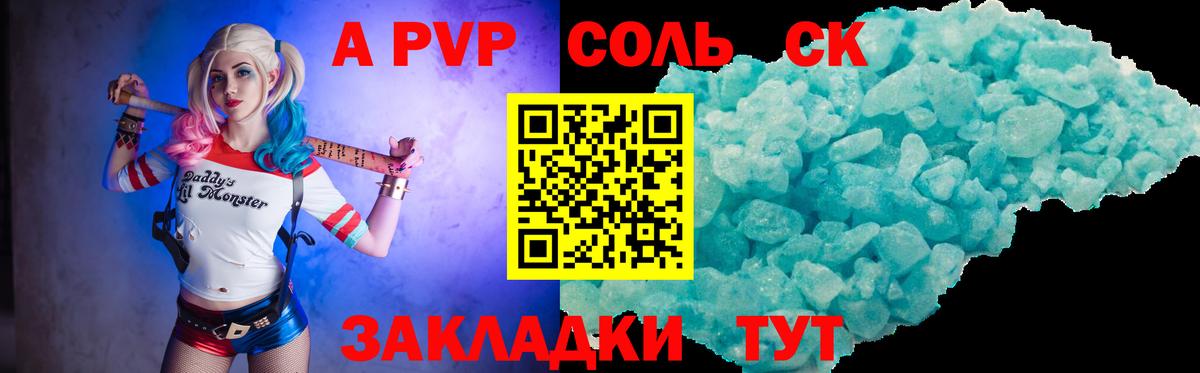 APVP СК Вологда