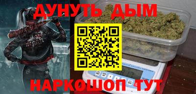 крисы Кингисепп