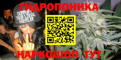 кокаин премиум Канаш