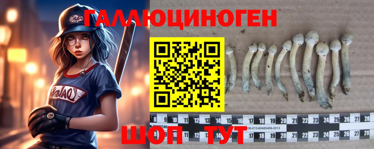 Вологда  Галлюциногенные грибы Magic Shrooms  Псилоцибиновые грибы Magic Shrooms  купить   Вход с VPN 